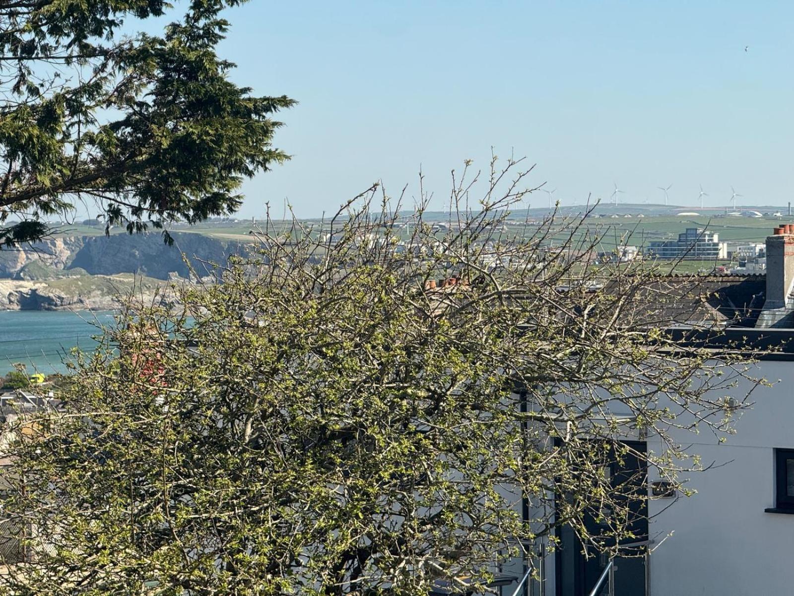 Shore Lodge New Quay Exteriör bild